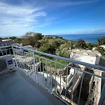 Palmapiana
