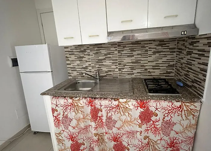 Palmapiana * Понца